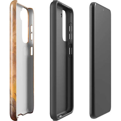 Frazetta Barbarian Galaxy S21 FE Pro Case